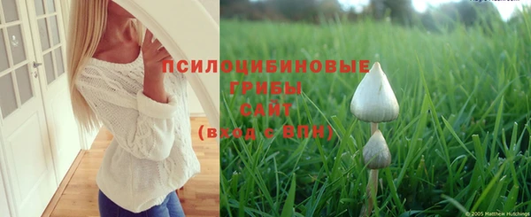 кристаллы Осинники