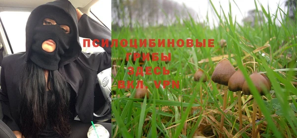 mdma Бикин